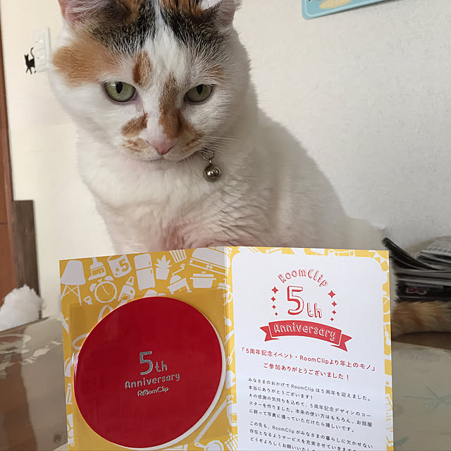 odekoさんの実例写真