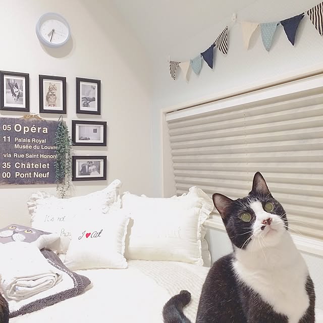 lovecatさんの実例写真