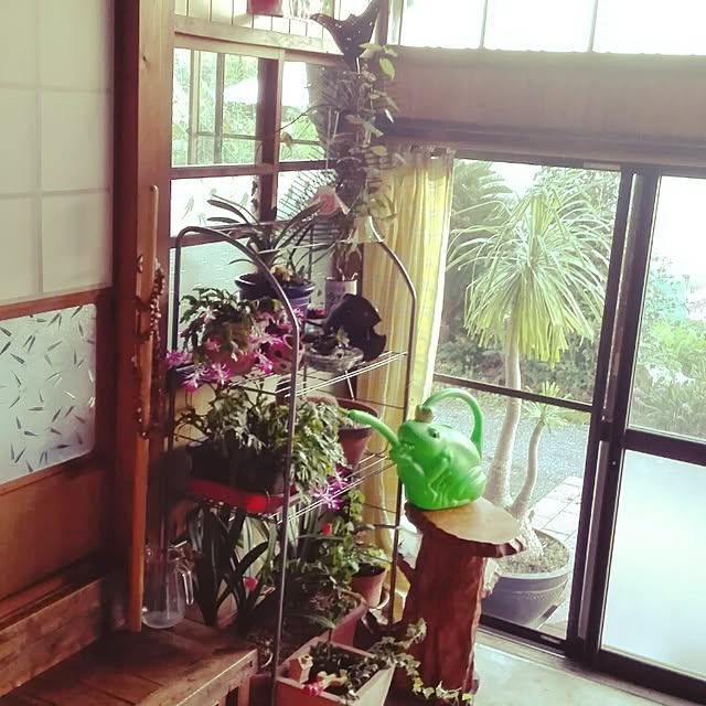 kikuさんの実例写真