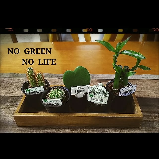OLIVEさんの実例写真