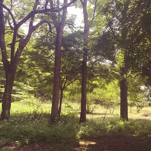 inakasochi_djangoさんの実例写真