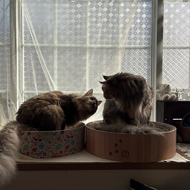 mayumiさんの部屋