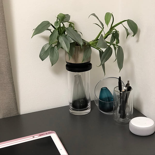 k_colina.jpさんの実例写真