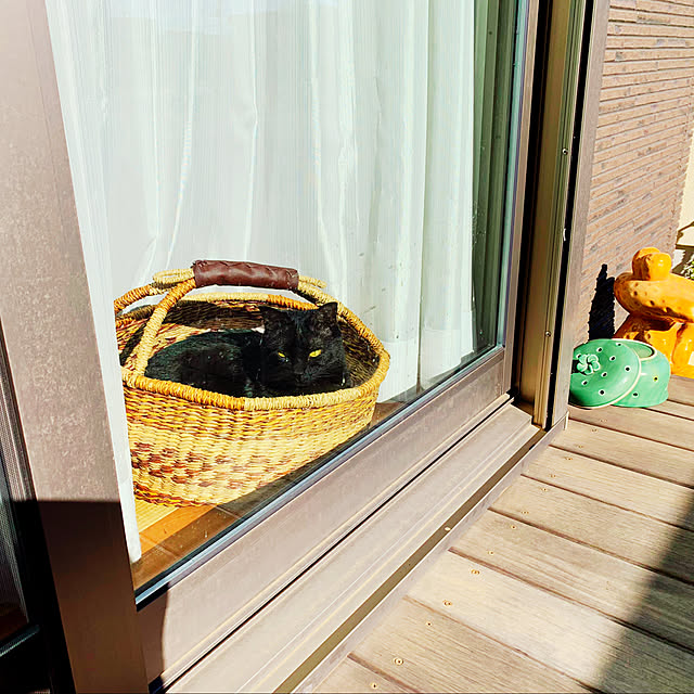 mameazさんの実例写真