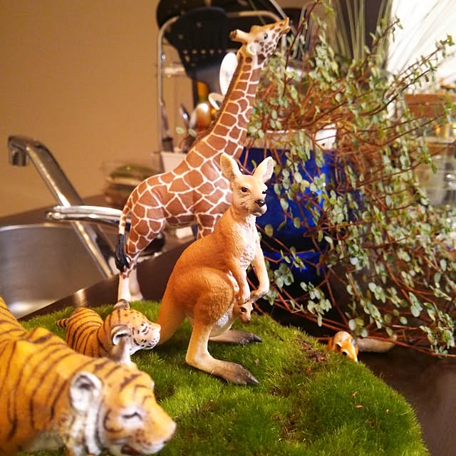 degumokoさんの実例写真