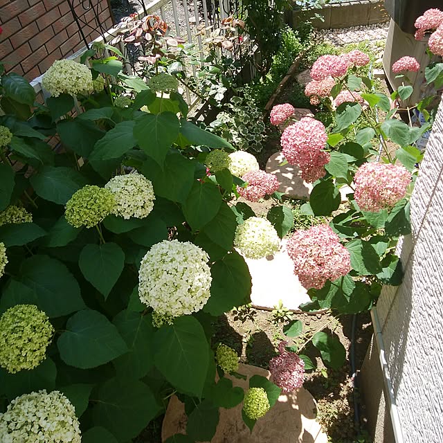 atelier_emaさんの実例写真
