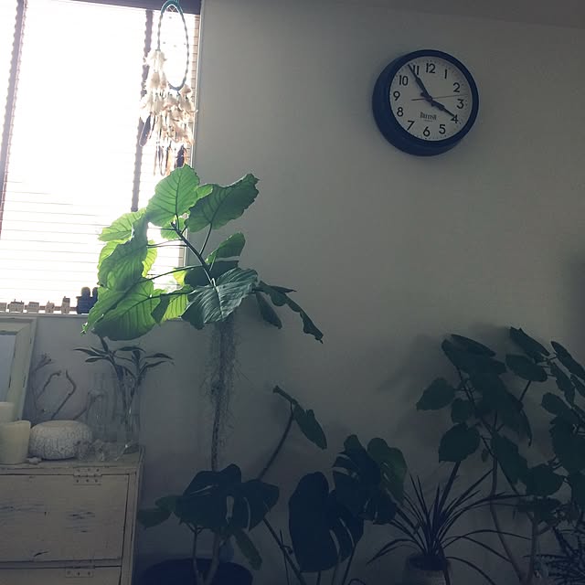 yukiさんの実例写真