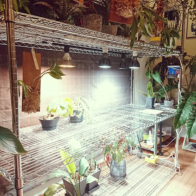 ot-gardenさんの部屋