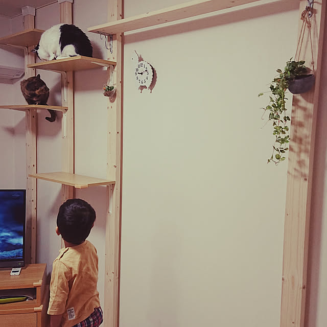ekoさんの実例写真