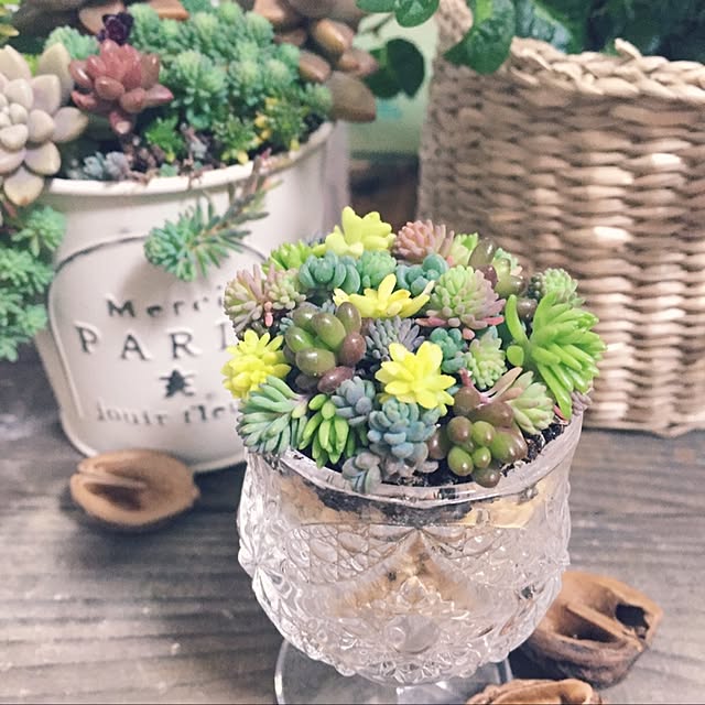 MaruLorettaさんの実例写真