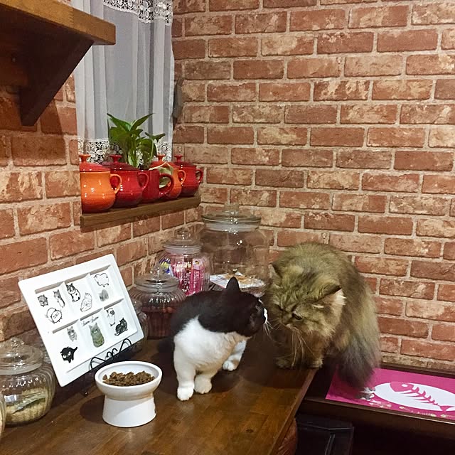 butachanさんの実例写真