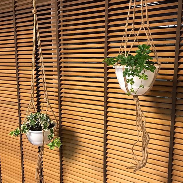 maguni66さんの実例写真