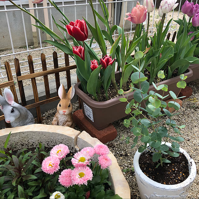 Rikimaさんの実例写真