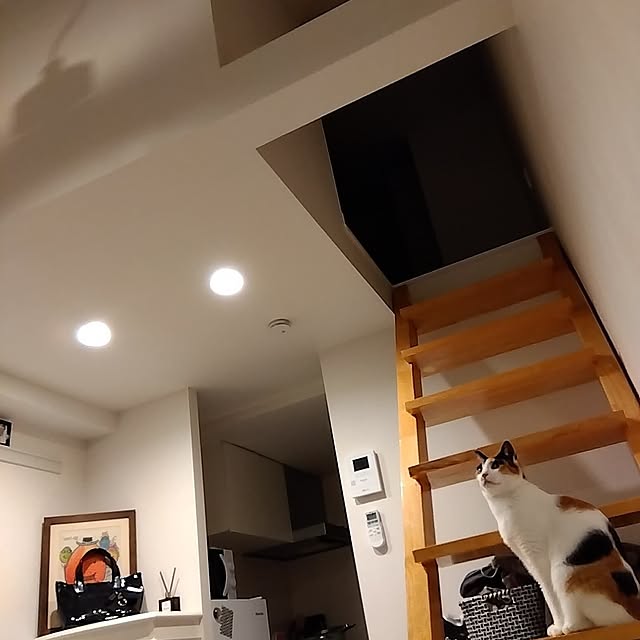 nappi0719さんの実例写真