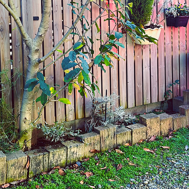chacoさんの部屋