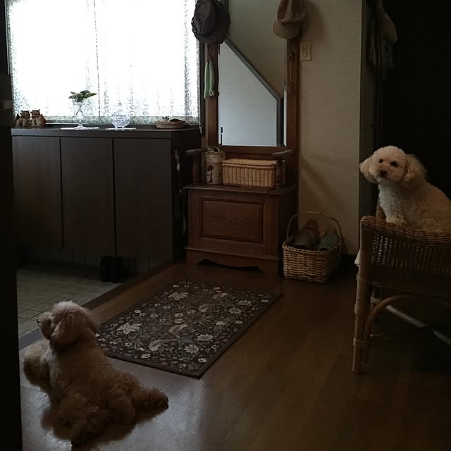 okarinさんの実例写真
