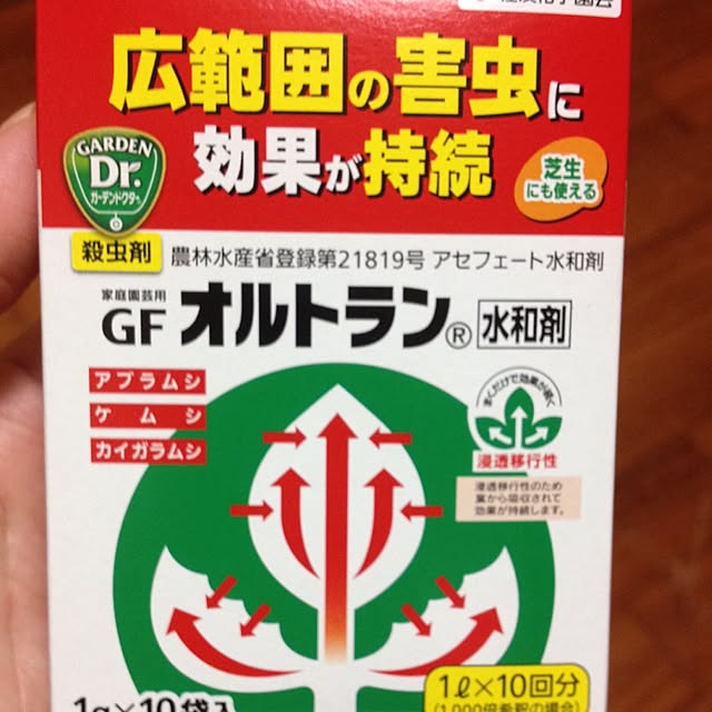 CHIROさんの実例写真
