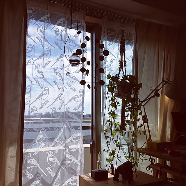 horohorotoriさんの実例写真