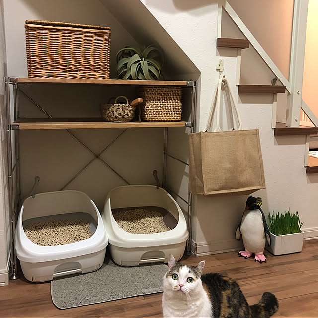 Yu-yuさんの実例写真