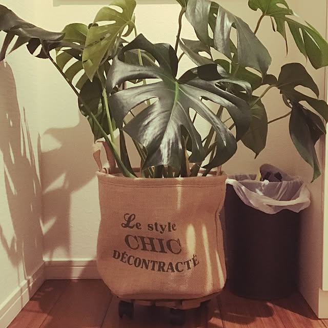 lunamamajunkoさんの実例写真