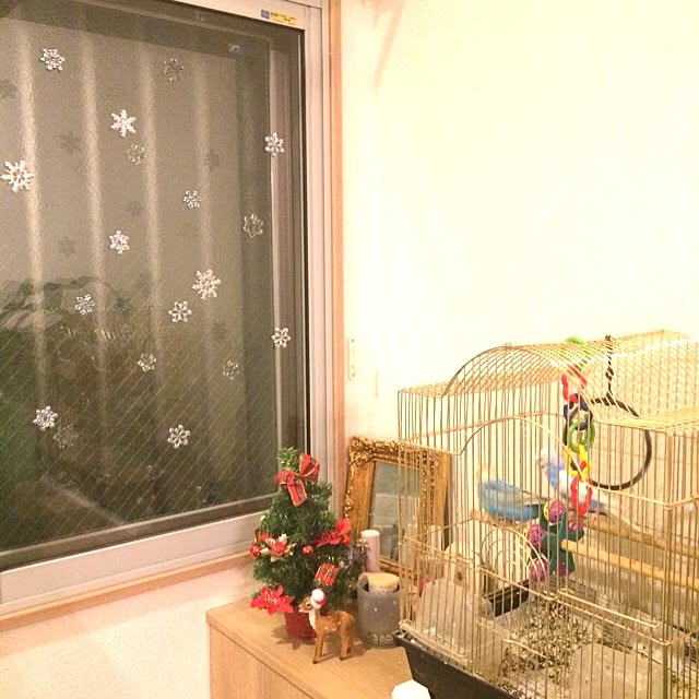 玄関/入り口/クリスマス/ペットのインテリア実例 - 2013-12-13 20:51:33