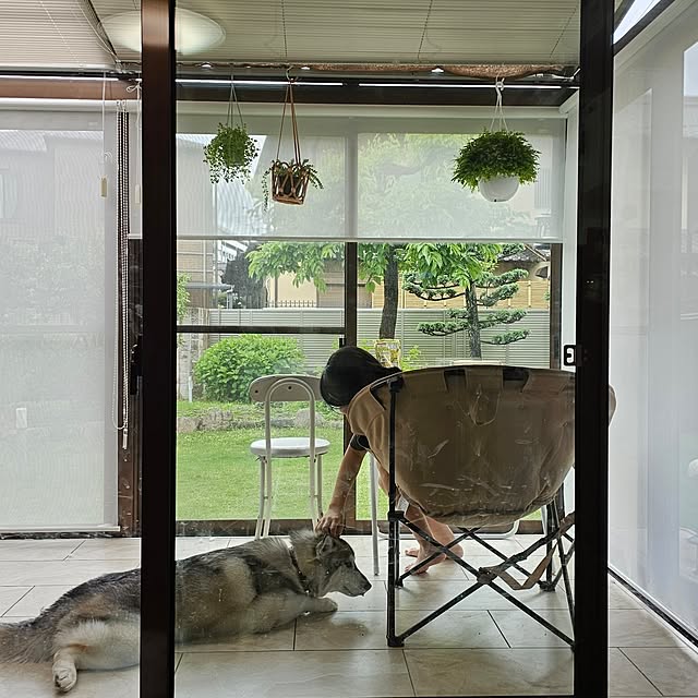 orangeanemonefishさんの部屋