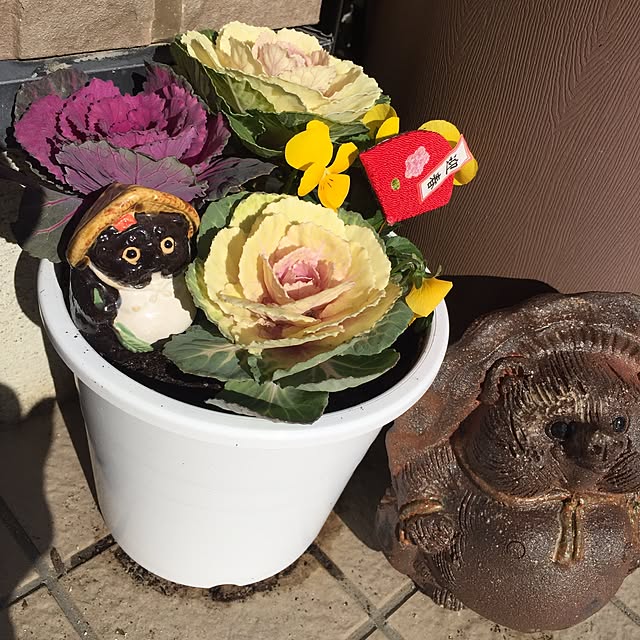 ronさんの実例写真