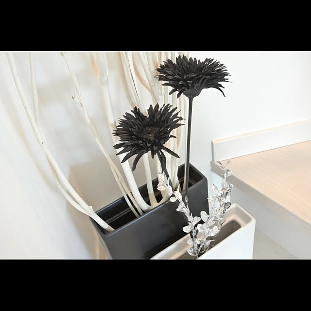 interior_amiさんの実例写真
