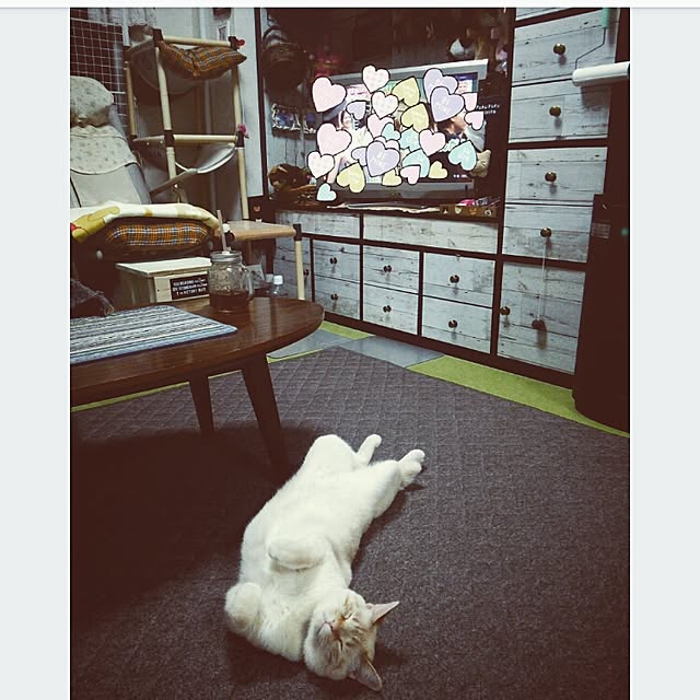 mntcさんの実例写真