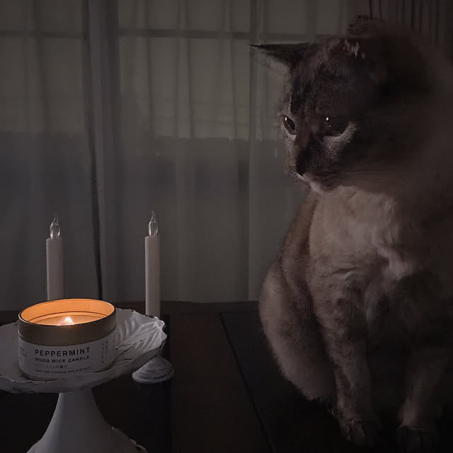 noelさんの部屋