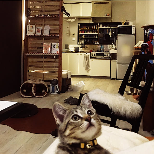 Mさんの実例写真