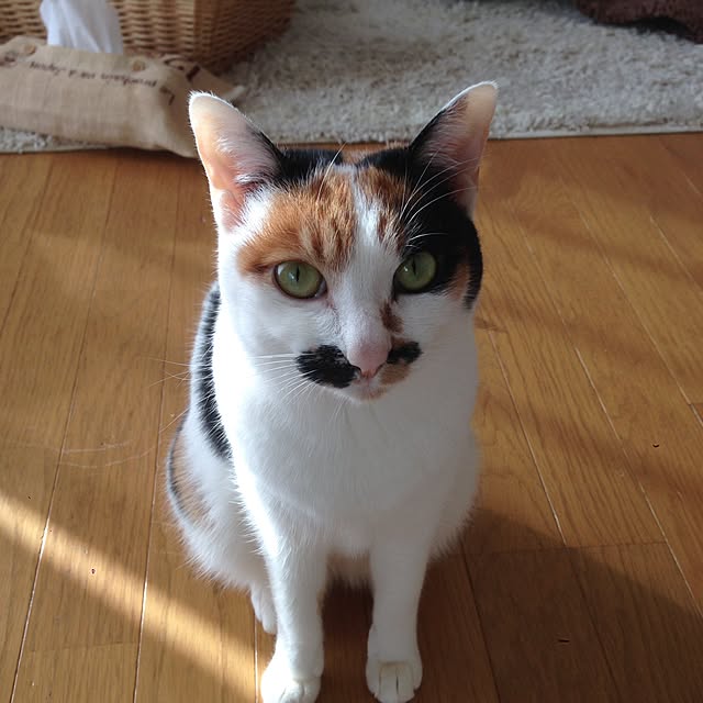 Kinanさんの実例写真
