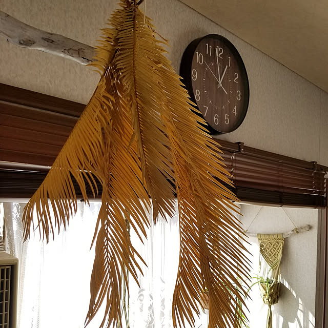 midoriさんの実例写真