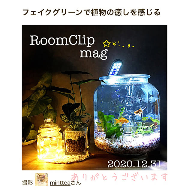 mintteaさんの実例写真