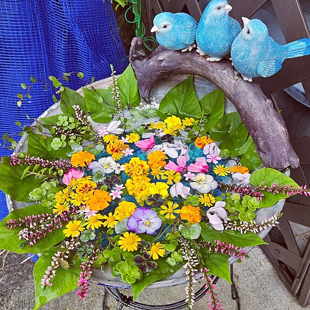 mocomocoさんの実例写真