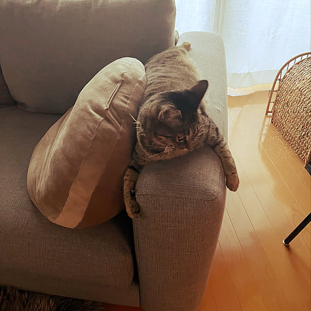 Mさんの実例写真