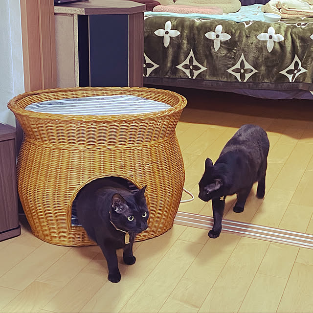 yamamomokansaburouさんの実例写真