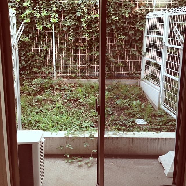 gkさんの実例写真