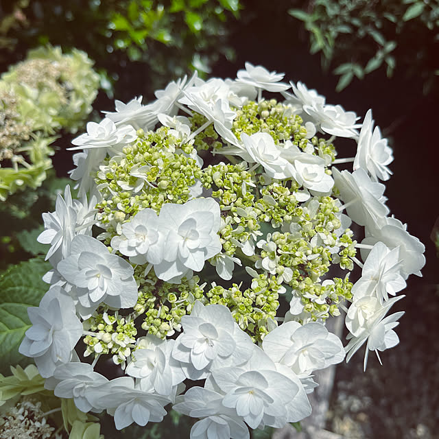 naco.さんの実例写真