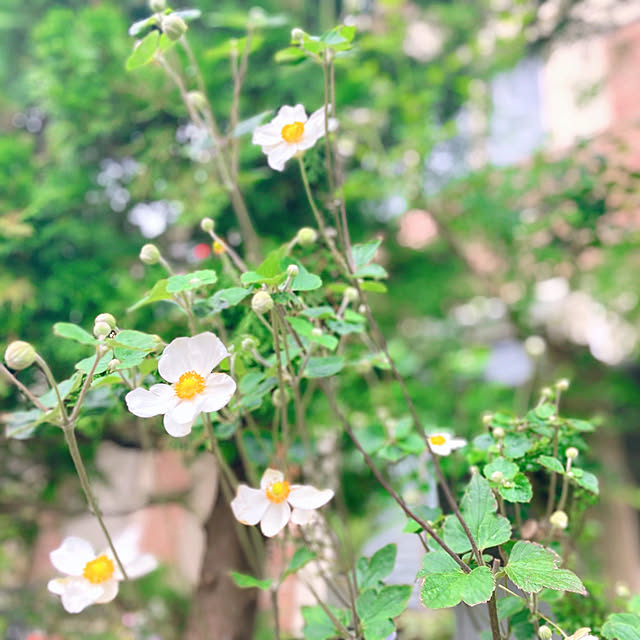 sunabaさんの部屋