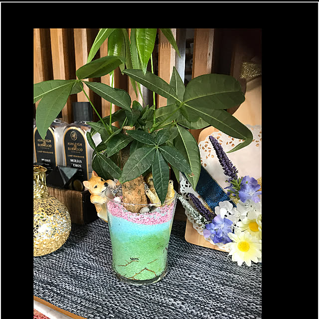 実例写真