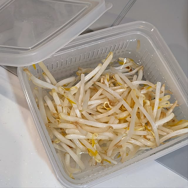 mi-saさんの部屋