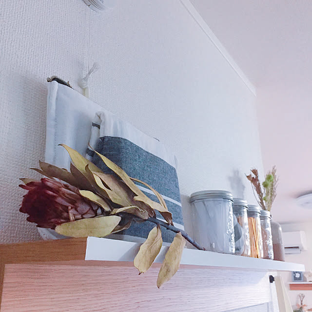 TAOさんの実例写真