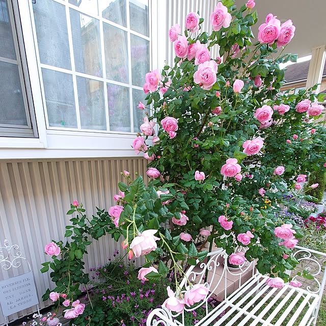 fleur-mamanさんの部屋