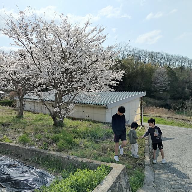 実例写真