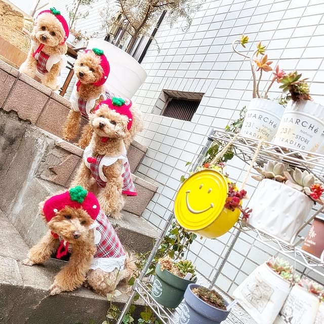 milk_hana_さんの部屋