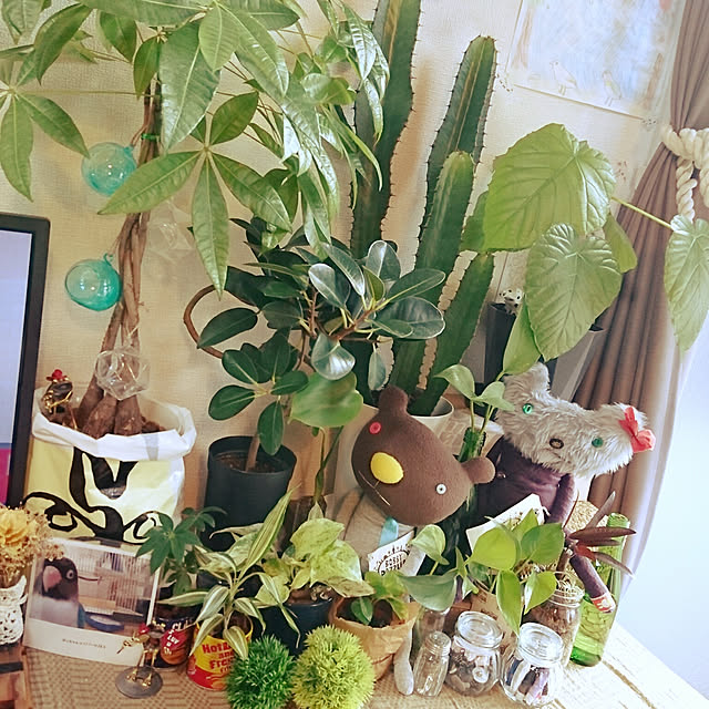 s.p.sunaoさんの実例写真