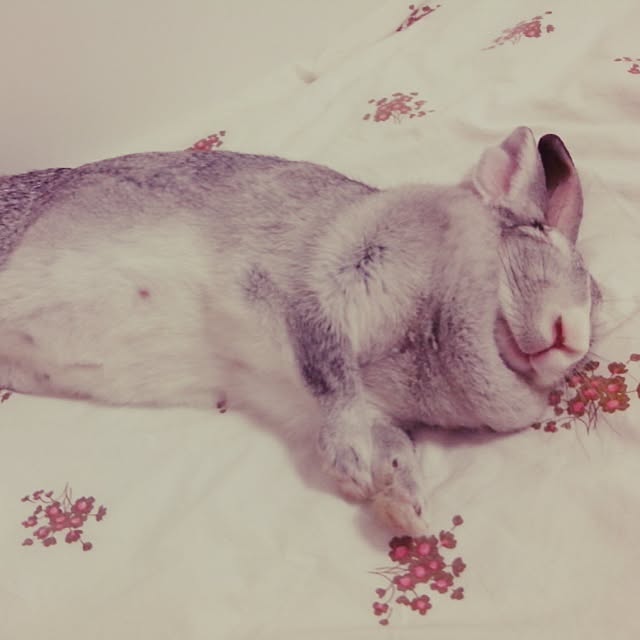 MARIさんの実例写真
