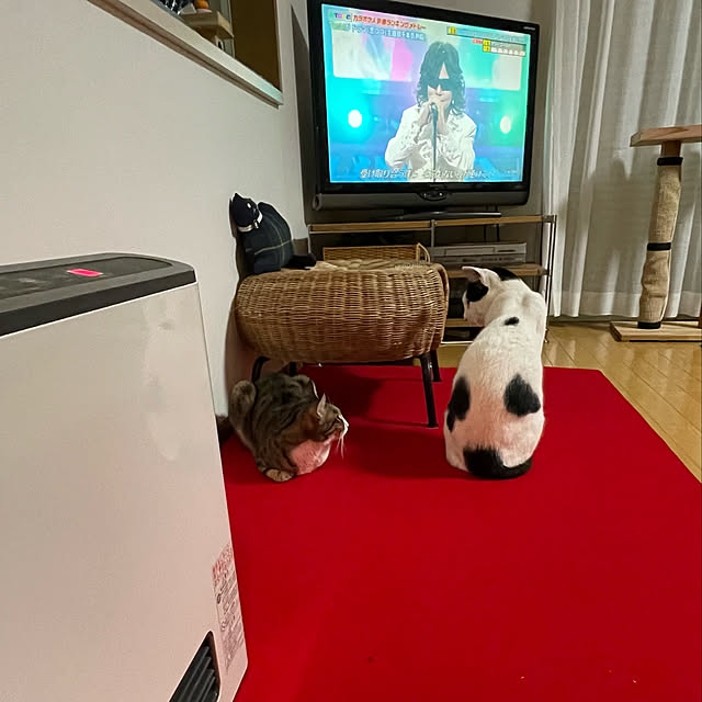nobikoさんの実例写真