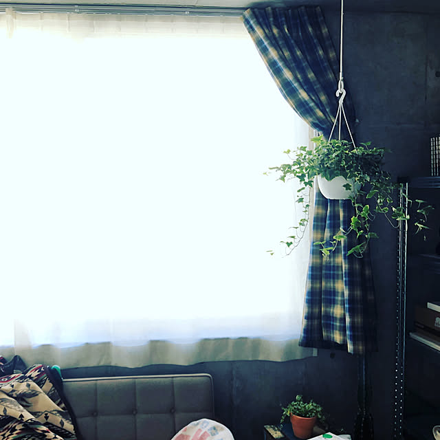 d___sさんの実例写真